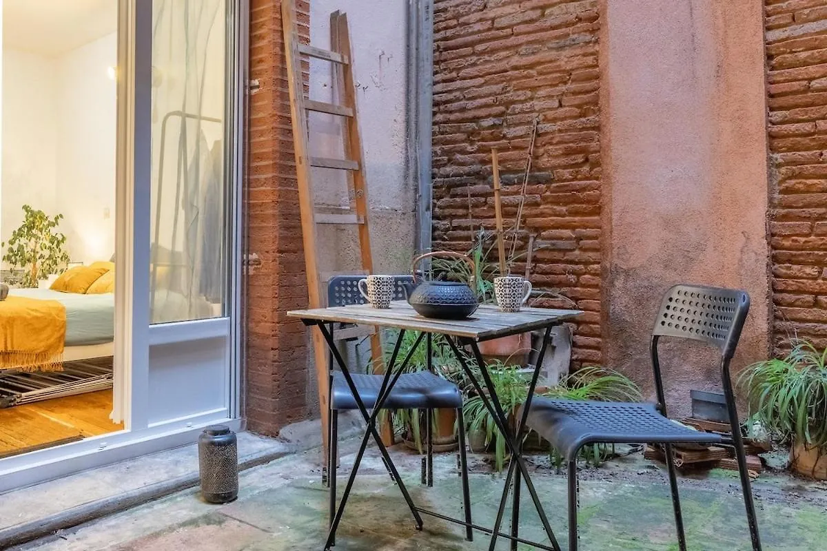 Apartamento Charming City-Center Flat With Terrace Toulouse