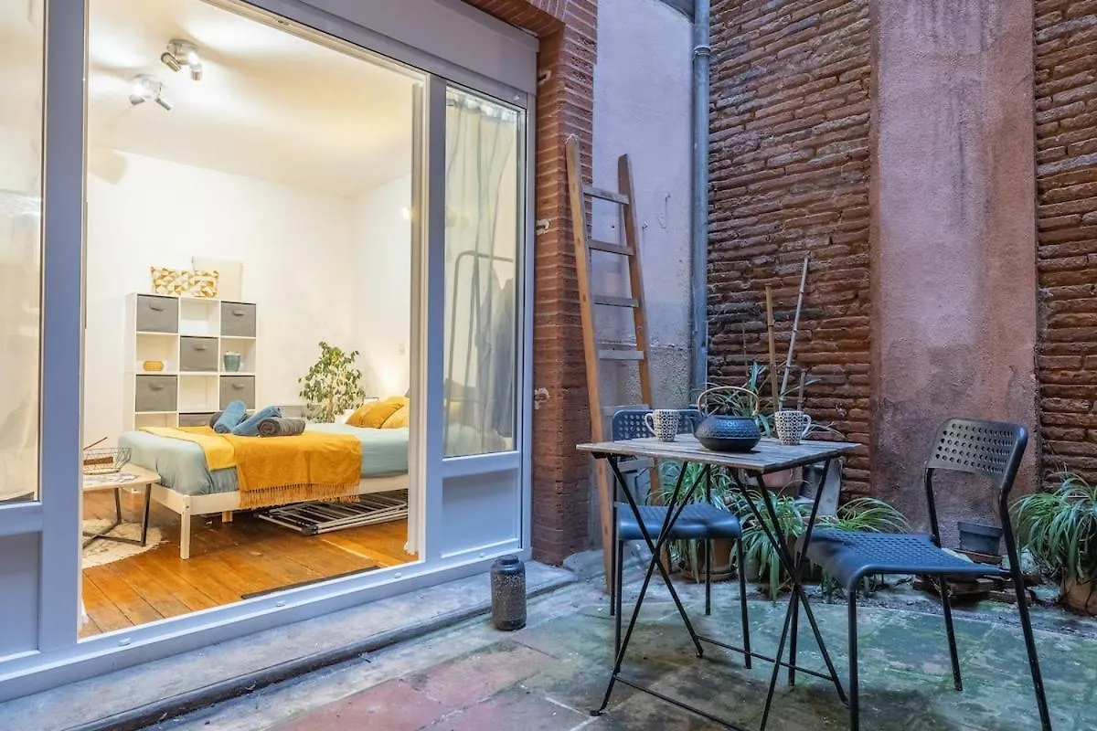 Charming City-Center Flat With Terrace Toulouse 0*,